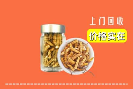 安阳县回收散虫草