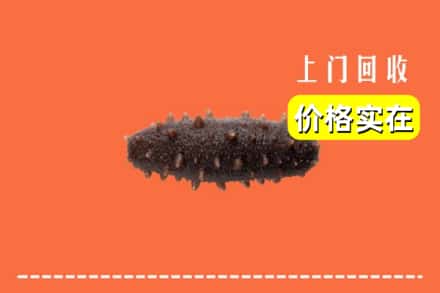 安阳县回收海参