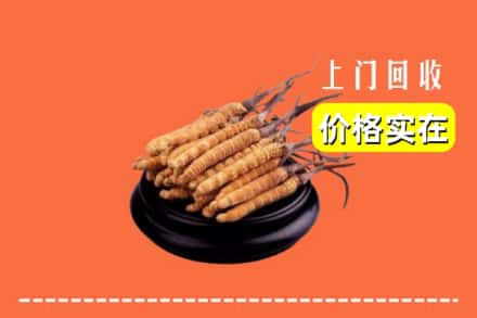 安阳县回收冬虫夏草